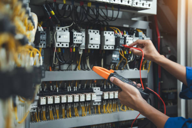 Best Electric Panel Repair  in Cashton, WI